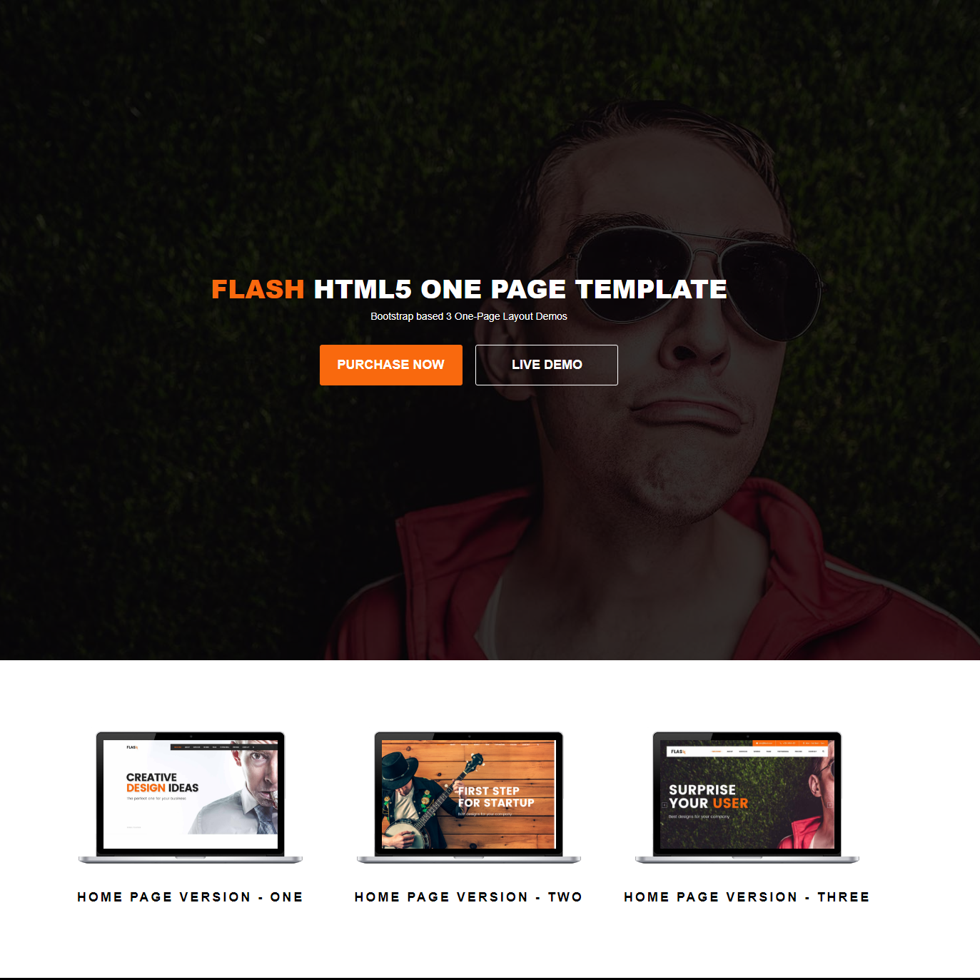 HTML5 Bootstrap Flash Templates